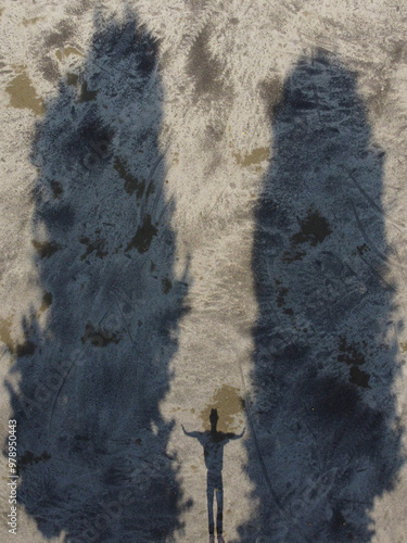 Aerial view of abstract landscape with shadows and silhouettes of trees and a man, Serravalle Scrivia, Italia. photo