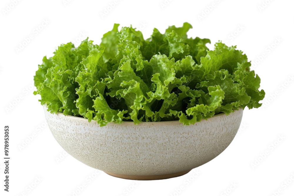 Fresh green lettuce in a natural bowl ready for healthy meals or culinary presentations. Ideal for nutritious recipes. Transparent background png. Fresh green lettuce in a natural bowl ready for healthy meals or culinary presentations. Ideal for nutritious recipes. Transparent background png.