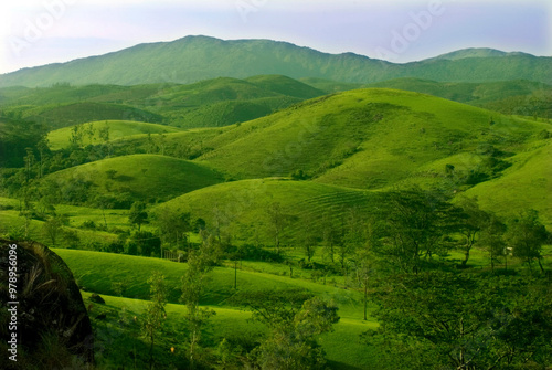 Aerial view of Green grass covered Vagamon Hills, Idukki district, Kerala, India photo