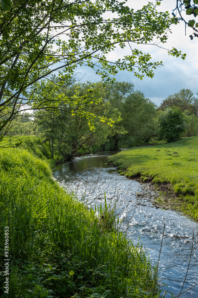 Stormy stream on the mountain river on a sunny day. Close up shot.