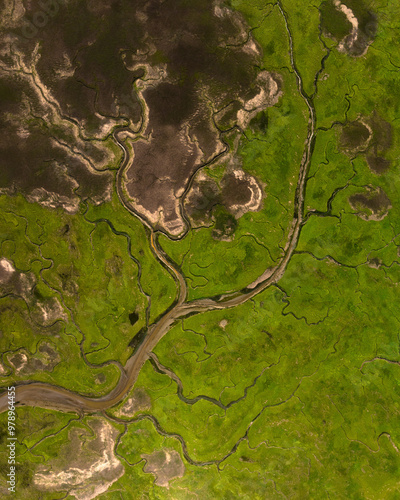 Aerial view of low tide marshland and meandering river in nature reserve, Verdronken Land van Saeftinghe, Zeeland, Netherlands. photo