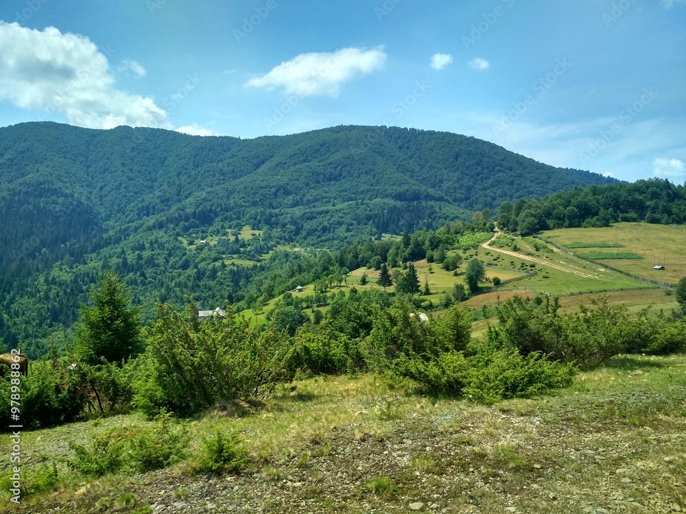 Obraz premium landscape with trees and clouds