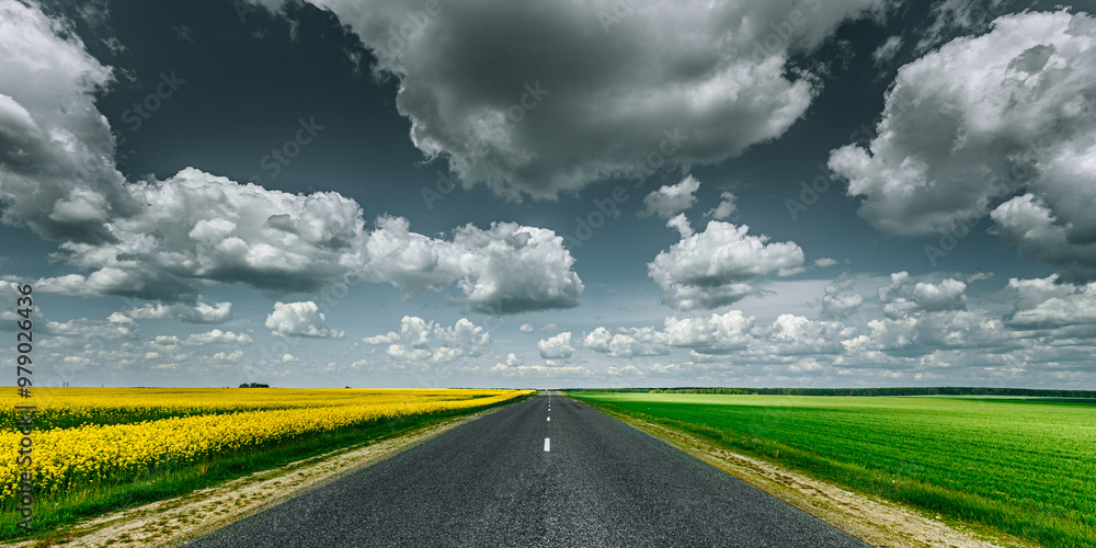 Empty Asphalt Countryside Road Through Fields With Yellow Flowering Canola Rapecolza Canola And Growing Green Wheat Empty Asphalt Countryside Road Through Fields With Yellow Flowering Canola Rapecolza Canola And Growing Green Wheat
