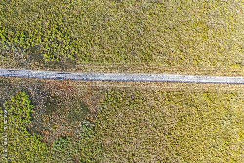 Aerial view of a serene firebreak created through saw palmetto in a tranquil landscape, Kenansville, United States. photo