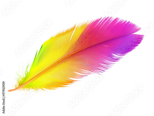 A colorful feather with fine details, isolated on a transparent background. photo