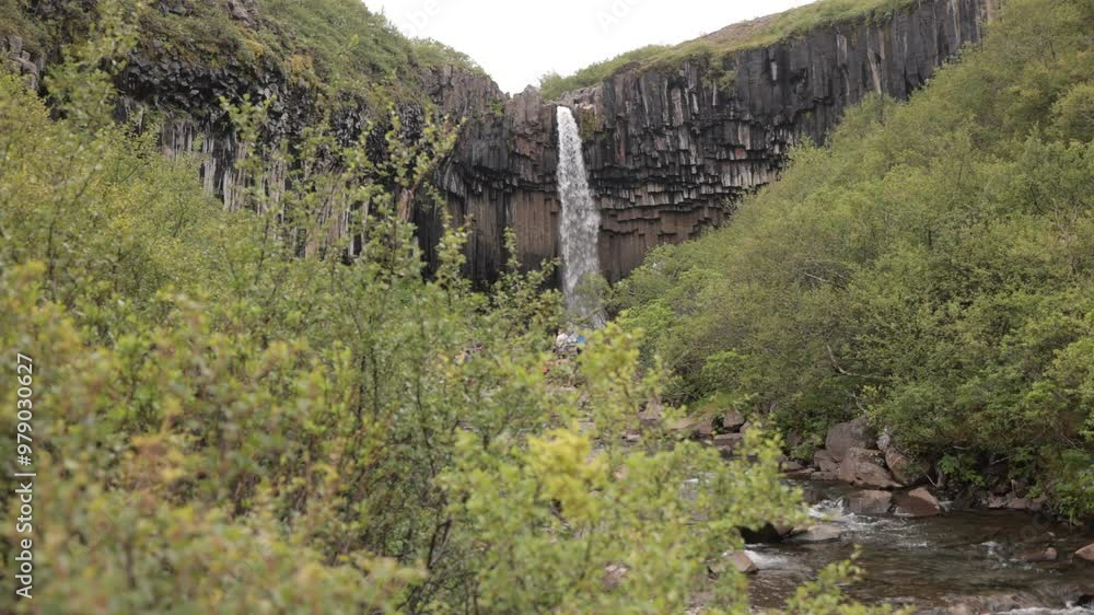 Slowmotion of Svartifoss waterfall in skaftafell region on iceland. Beautiful waterfall viewed from far, a lot of water coming from vertical basalt pillars. Slowmotion of Svartifoss waterfall in skaftafell region on iceland. Beautiful waterfall viewed from far, a lot of water coming from vertical basalt pillars.