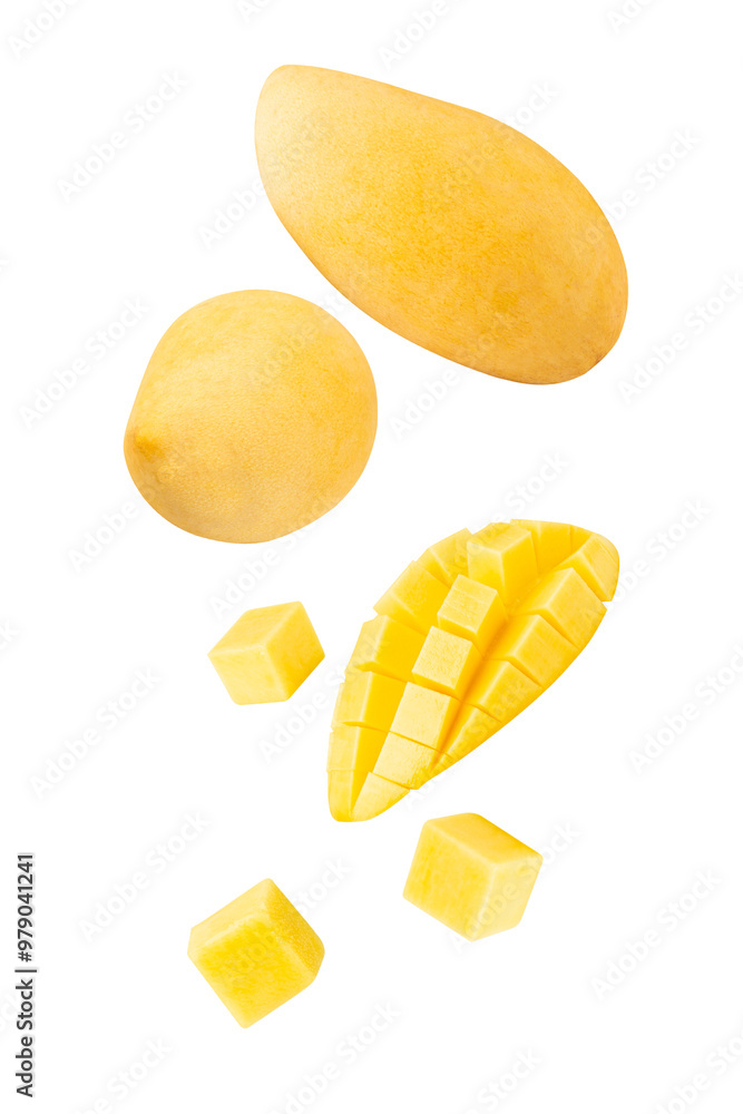 Falling Yellow Mango, cutout, full depth of field. Falling Yellow Mango, cutout, full depth of field.