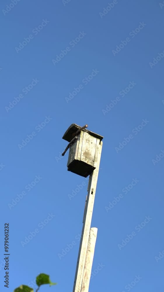 A birdhouse in the village. September in the village. Morning in the village A birdhouse in the village. September in the village. Morning in the village