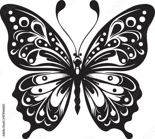 butterfly on a white background