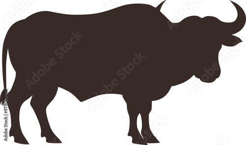 bull on white background