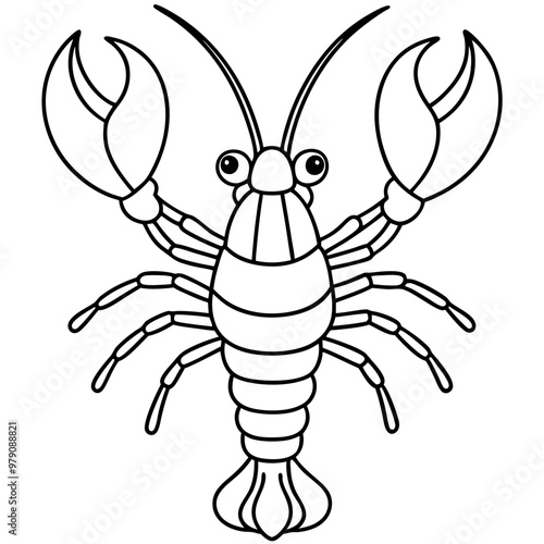 Lobster