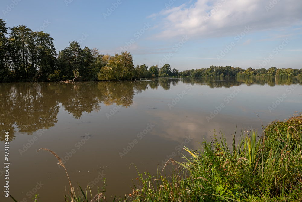 Spokojny krajobraz, jesienny poranek nad stawem. Spokojny krajobraz, jesienny poranek nad stawem.