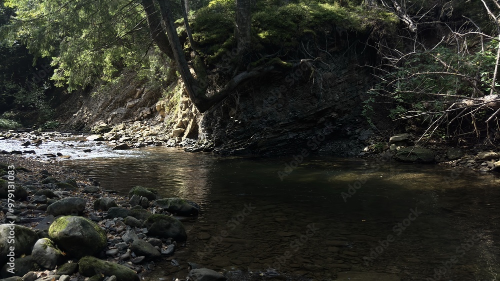 A serene forest creek flowing gently over smooth stones, surrounded by towering trees, in a peaceful and quiet woodland. A serene forest creek flowing gently over smooth stones, surrounded by towering trees, in a peaceful and quiet woodland.
