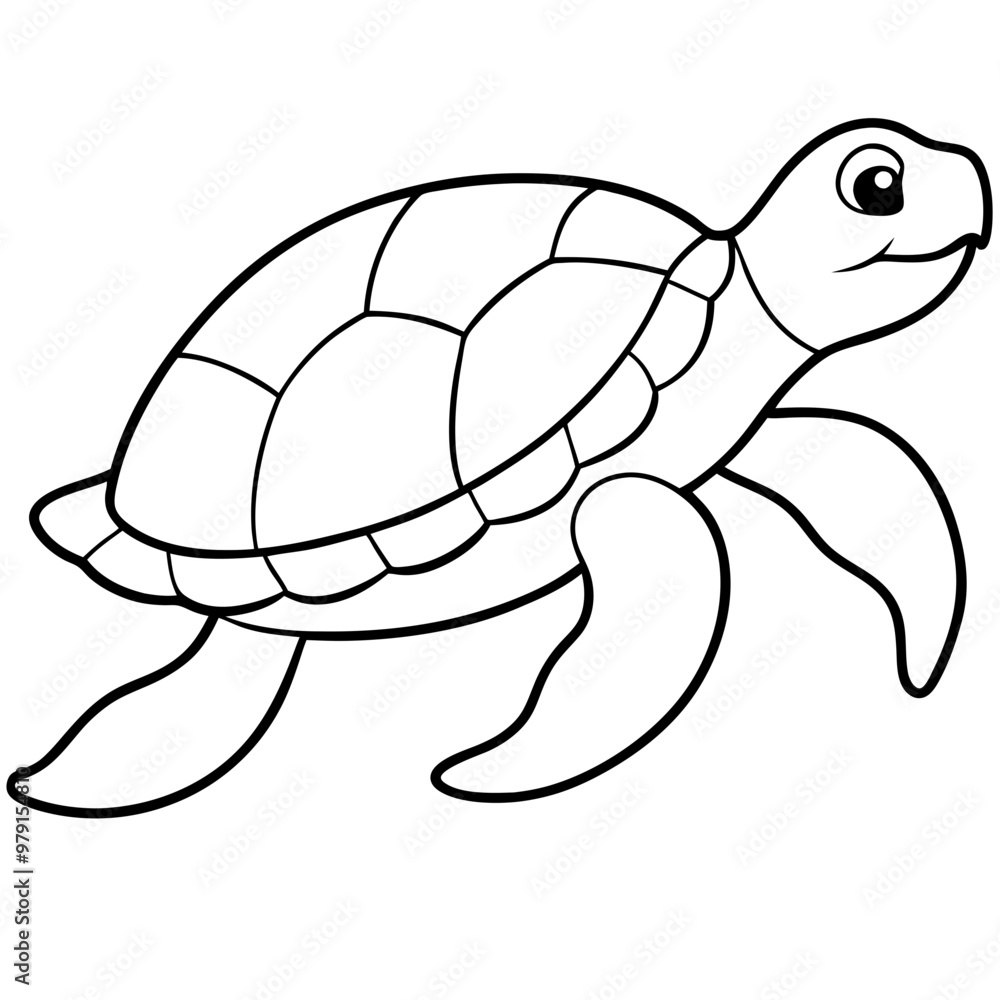 Fototapeta premium Sea turtle