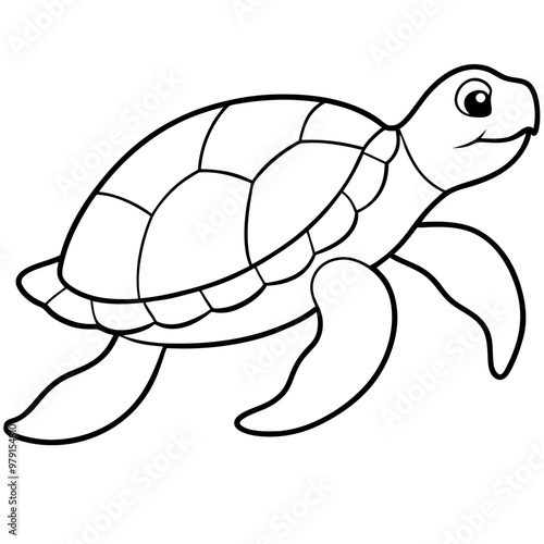 Sea turtle