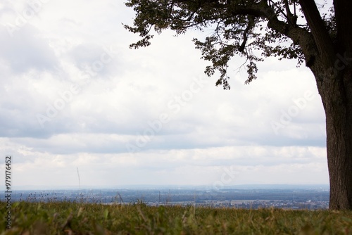 Ruhiges Hintergrundbild von dunkler Baum Silhouette auf einem Berg vor Aussicht über eine entfernte Stadt im Nebel photo