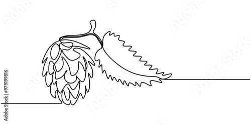 abstract branch and cones hop Continuous drawing in one line, Hop twig vector sketch. One continuous line art drawing of green cones. Branch of hops, minimalist art illustration, Hop herb and spikelet