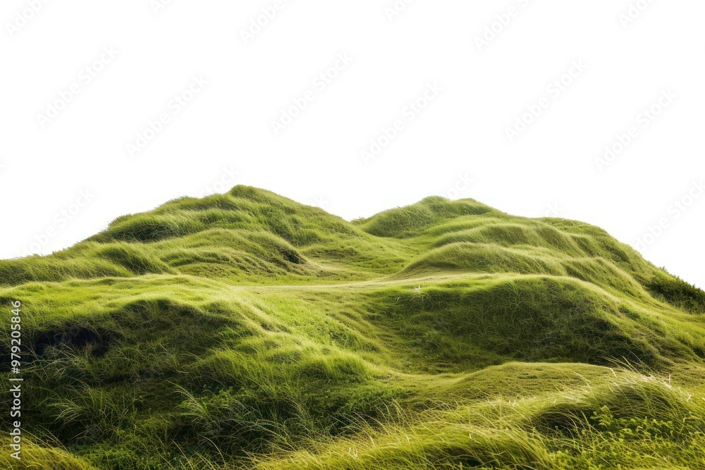 Landscape nature hill vegetation. Landscape nature hill vegetation.