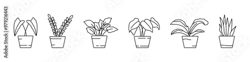 Flowerpot vector icon set. Plants in flowerpots. Vector