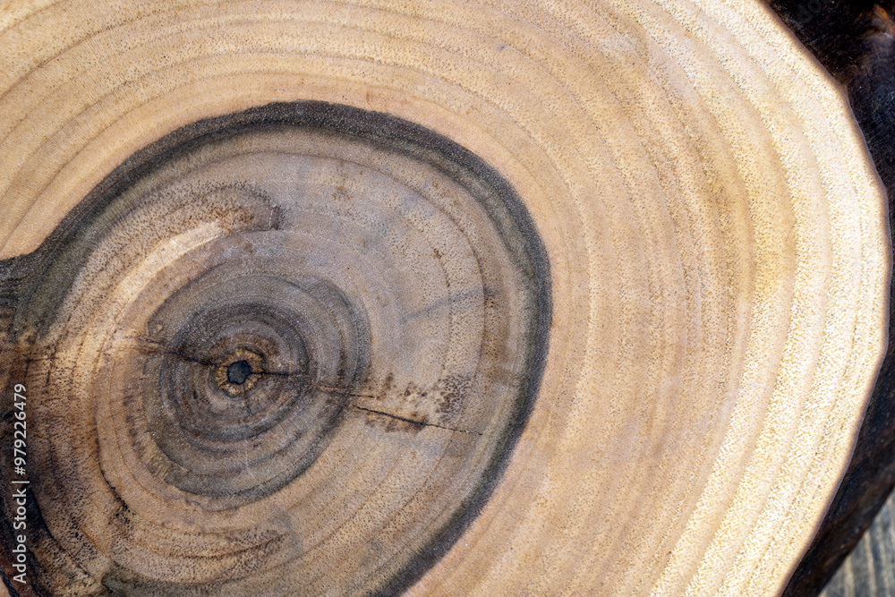 Naklejka premium part of a wooden board made of walnut wood