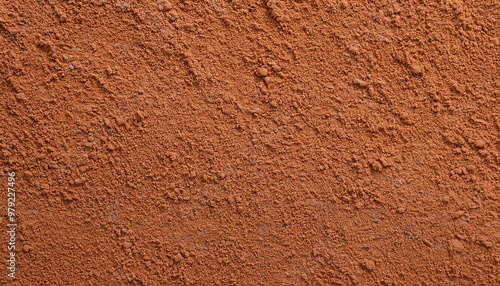 texture de surface en poudre d'argile rouge séchée de potier