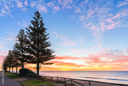 Christies beach with pine trees viewed from the Esplanade at sunset , South Australia photo