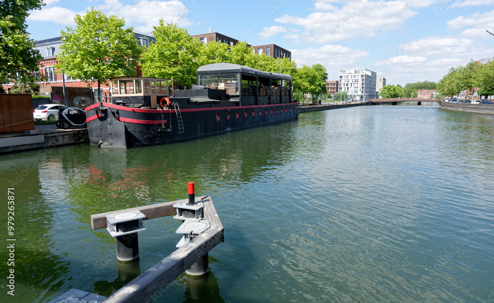 Naklejka premium lille