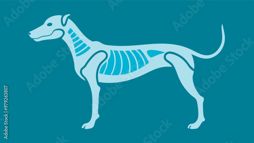 Scientific artwork of a smiling dog with detailed bones, set against blue-green background, for educational purposes. photo