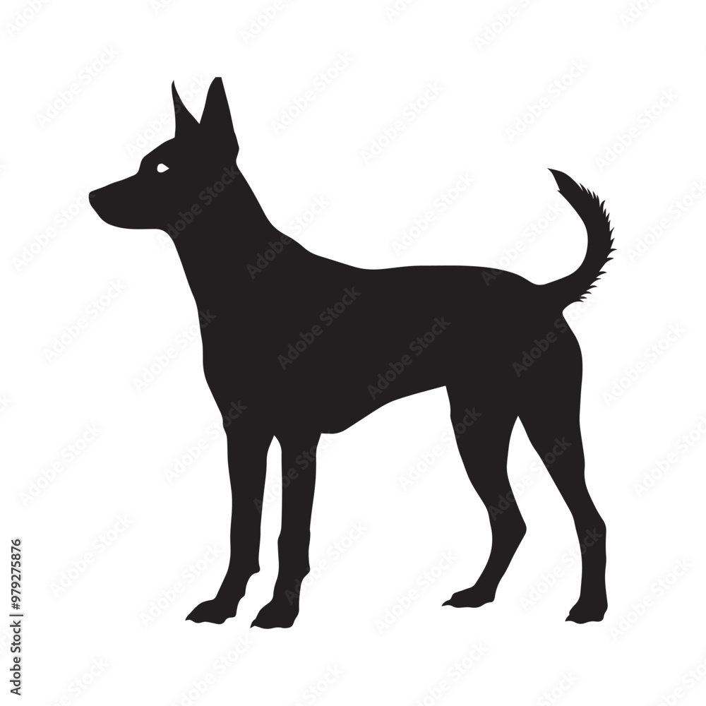 Australian Cattle dog standing silhouette Design, Dog Vector illustration in black and white
Australian Cattle dog standing silhouette Design, Dog Vector illustration in black and white