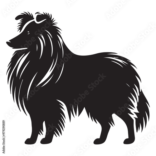 Shetland Sheepdog dog Standing silhouette Design, Dog Clipart vector illustration in black and white
