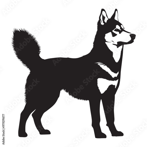 Siberian Husky dog Standing silhouette Design, Dog Clipart vector illustration in black and white
