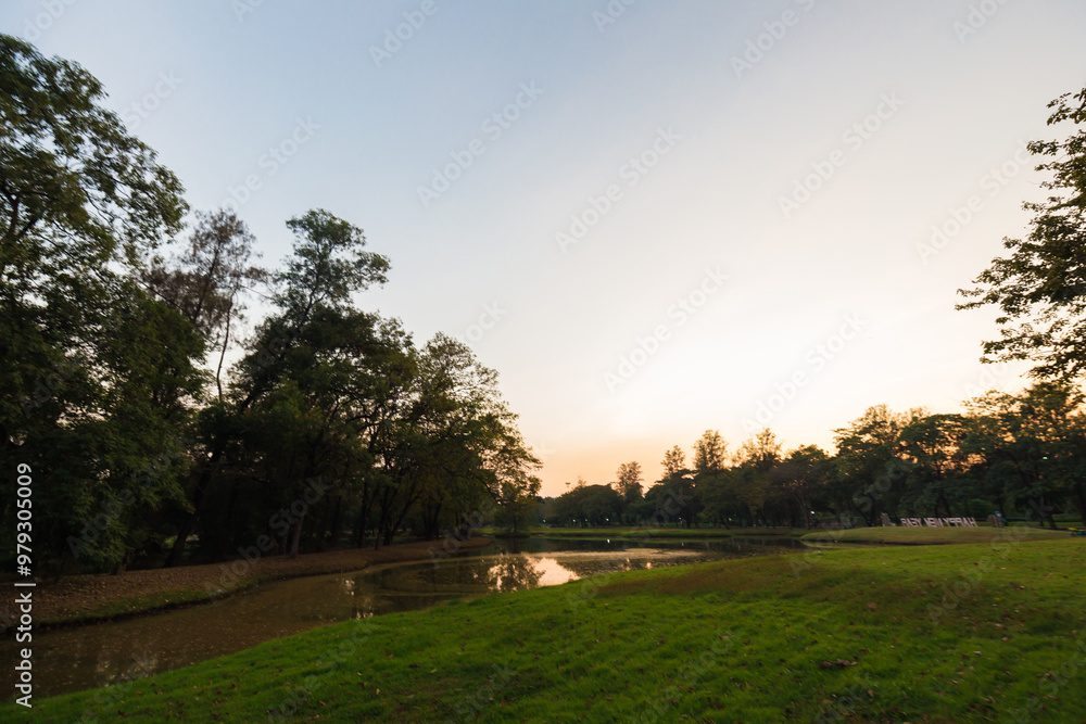 Green meadow grass sunset blue sky tree city park forest Green meadow grass sunset blue sky tree city park forest