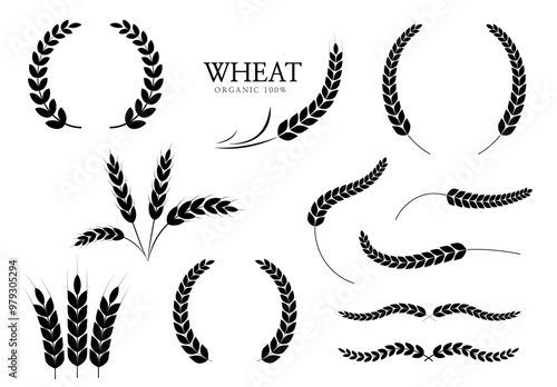Wheat ears or rice icon. paddy wheat. laurel wreath icon. Vector illustration