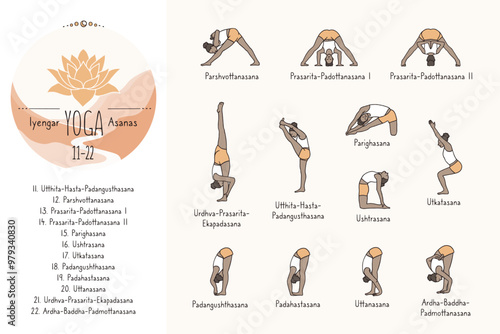 Hand drawn hatha yoga poses and their sanskrit names, Iyangar yoga asanas 11-22
