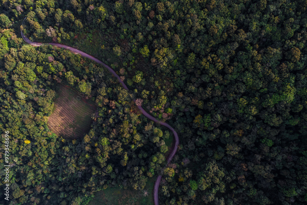 Aerial view green tree tropical rainforest in deep mountain Aerial view green tree tropical rainforest in deep mountain
