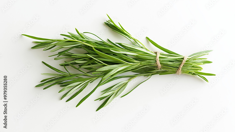 tarragon bundled with organic flax string its long, thin leaves gently curving against an isolated white background tarragon bundled with organic flax string its long, thin leaves gently curving against an isolated white background