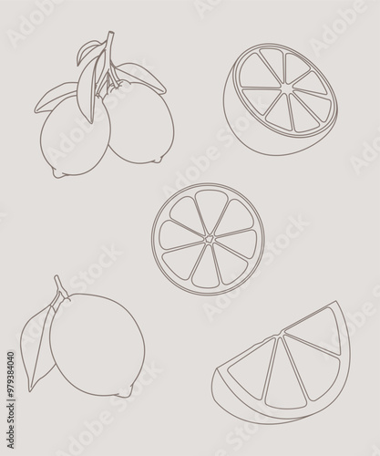 Texture naturale disegno a mano limoni. Cucina italiana. Spremuta fresca di limoni con vitamina
