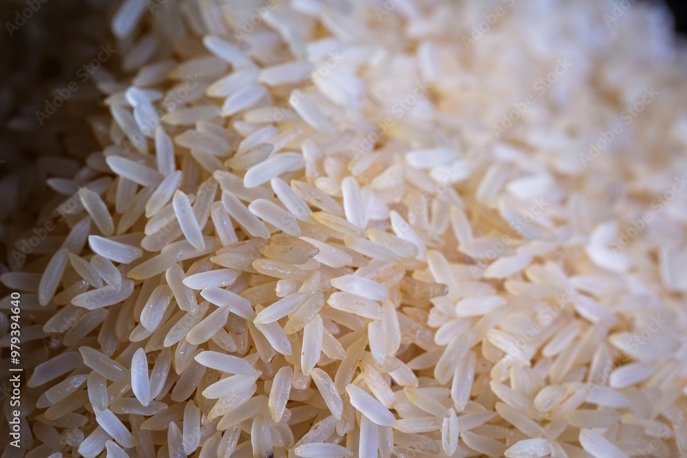 rice, uncooked, dry, grain, grained, asia, asian, background, bowl, calories, chinese, closeup, cooking, crop, cuisine, culture, diet, dietetic, dinner, eat, fiber, food, health, healthy, heap, indian rice, uncooked, dry, grain, grained, asia, asian, background, bowl, calories, chinese, closeup, cooking, crop, cuisine, culture, diet, dietetic, dinner, eat, fiber, food, health, healthy, heap, indian