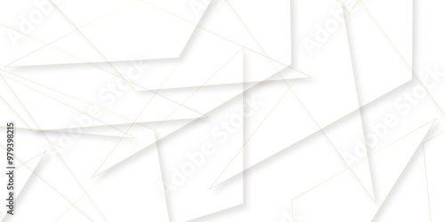Abstract background with liens and triangles shape on white background. White and grey geometric overlapping rectangle pattern Geometric background soft shadows as patten ..White polygon textured .	
