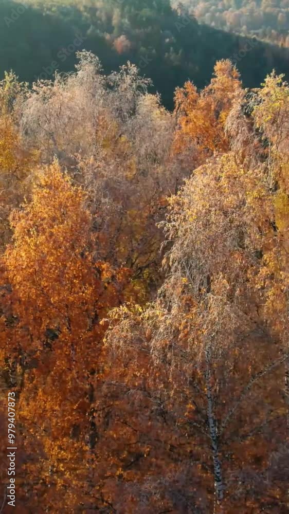 Aerial view of mountain during autumn Aerial view of mountain during autumn