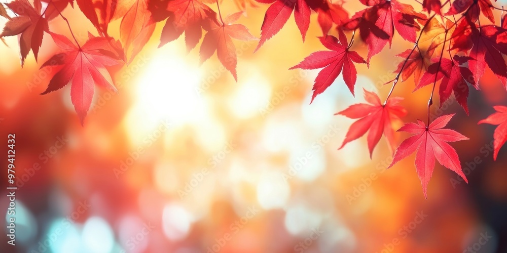 Beautiful autumn background with red maple leaves and blurred sunlight in the morning leaf atmosphere seasonal. Beautiful autumn background with red maple leaves and blurred sunlight in the morning leaf atmosphere seasonal.