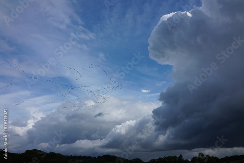 Zugvögel vor gewaltigen Wolkentürmen auf ihrer Reise in den Süden photo