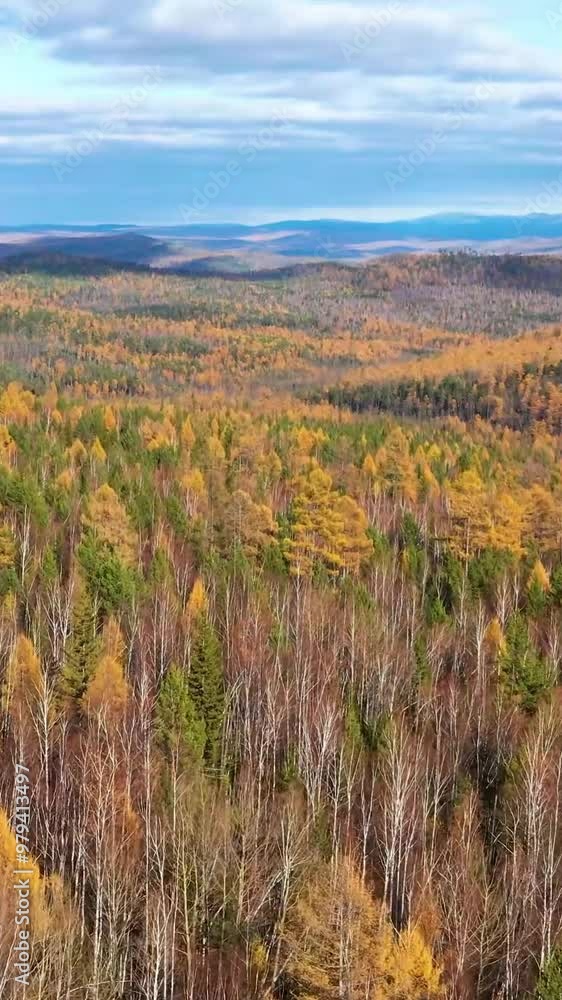 Aerial view of mountain during autumn