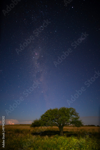 Pampas landscape photographed at night with a starry sky, La Pampa province, Patagonia , Argentina.