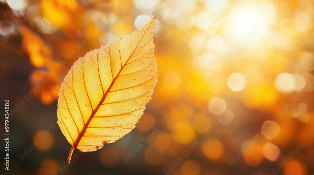 A yellow autumn leaf in sharp focus with a blurred background of orange trees and sunlight, featuring a soft bokeh effect, highlighting the beauty of fall colors. A yellow autumn leaf in sharp focus with a blurred background of orange trees and sunlight, featuring a soft bokeh effect, highlighting the beauty of fall colors.