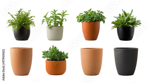 garden pots with green plants on transparent background