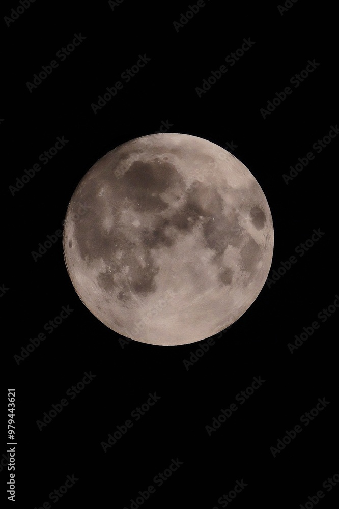 Obraz premium the full moon