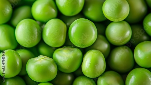 Closeup of fresh green tomato in their pod against a clean white background