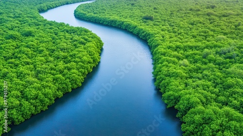 Serene River Meandering Through Lush Forest, Tranquil waters flow gently, surrounded by vibrant greenery and towering trees, inviting peace and reflection.