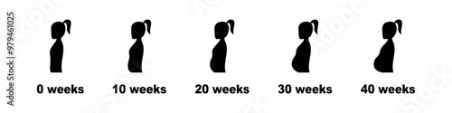 Pregnancy Week Female Body Changes Icons. Changes in the female body during pregnancy